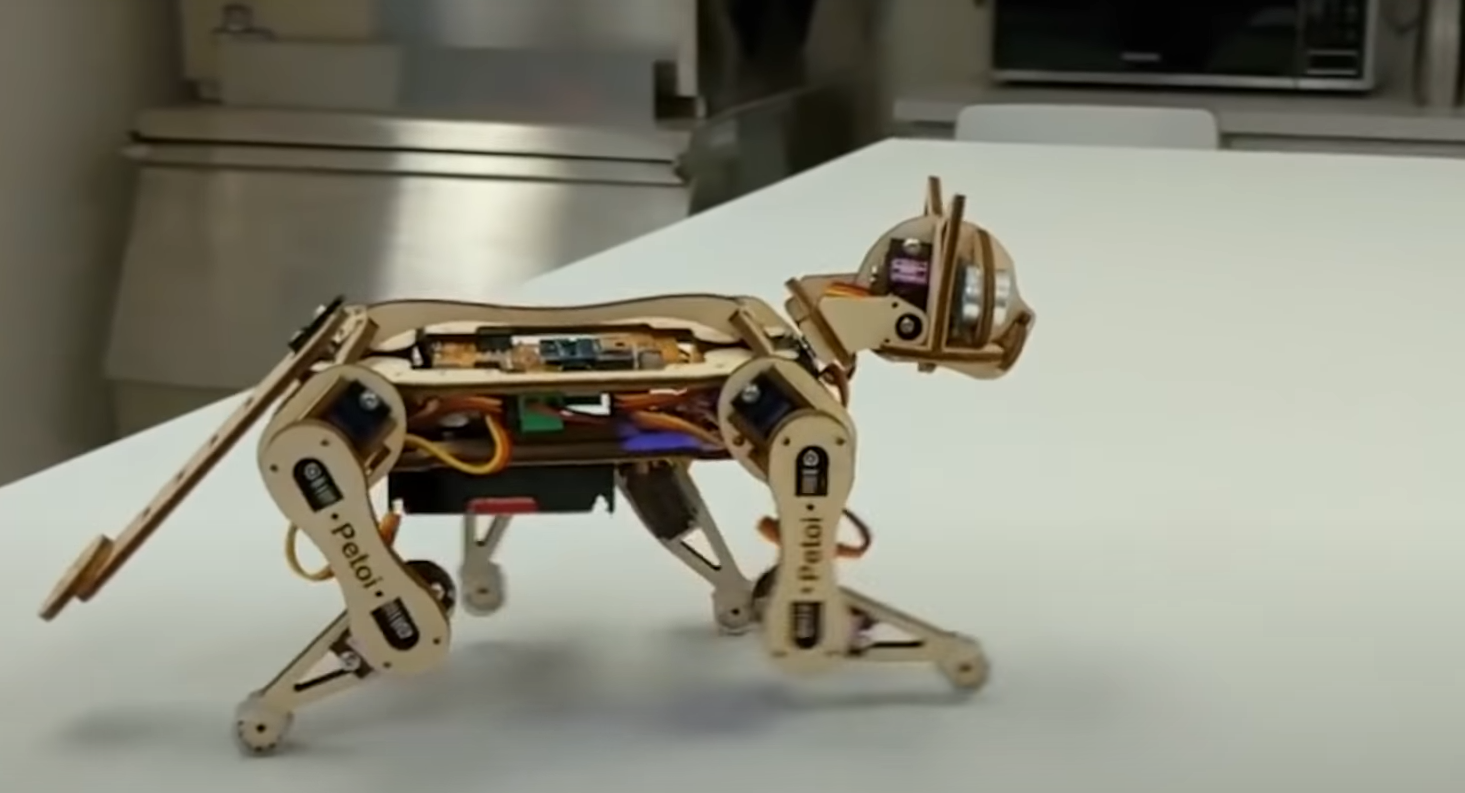 Raspberry Pi Projects for Kids - ElectronicsHacks