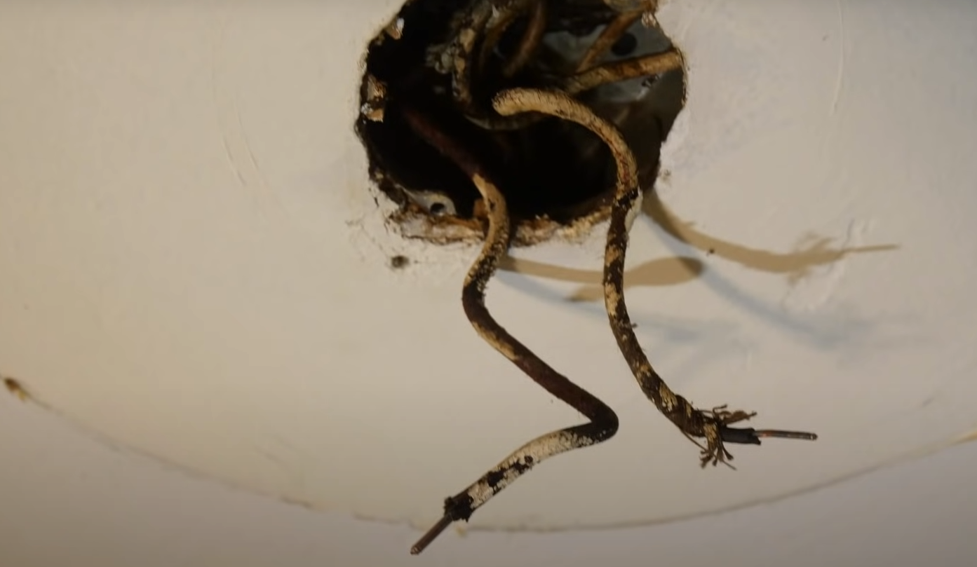 How to Identify Hot and Neutral Wire on Lamp Cord? ElectronicsHacks