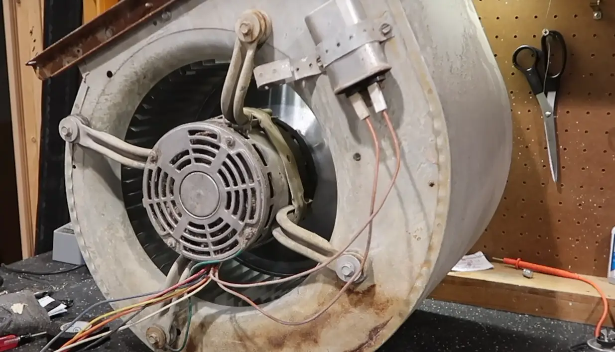 How to Wire a Squirrel Cage Fan? ElectronicsHacks