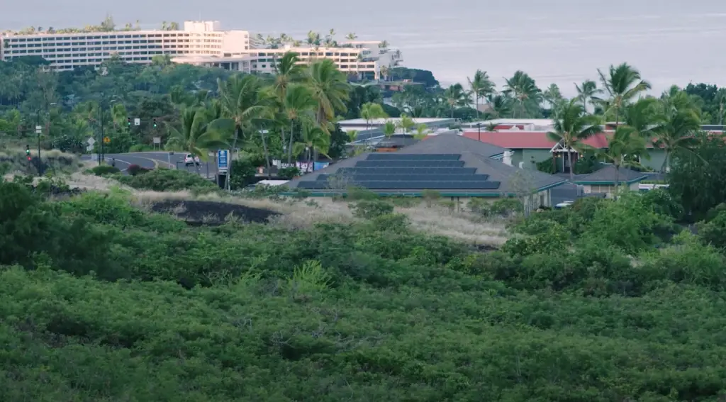 Are Electricians in Demand in Hawaii?